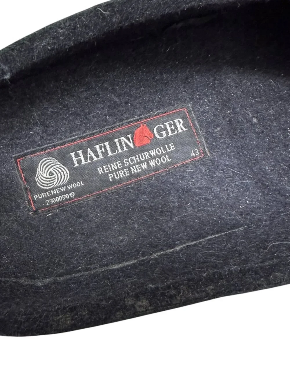 Haflinger excellent preowned
